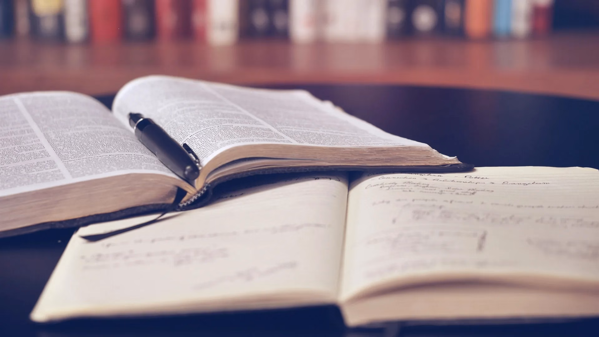 Sustainable Economic Development in Higher Education Institutions: A Global Analysis Within the SDGs Framework