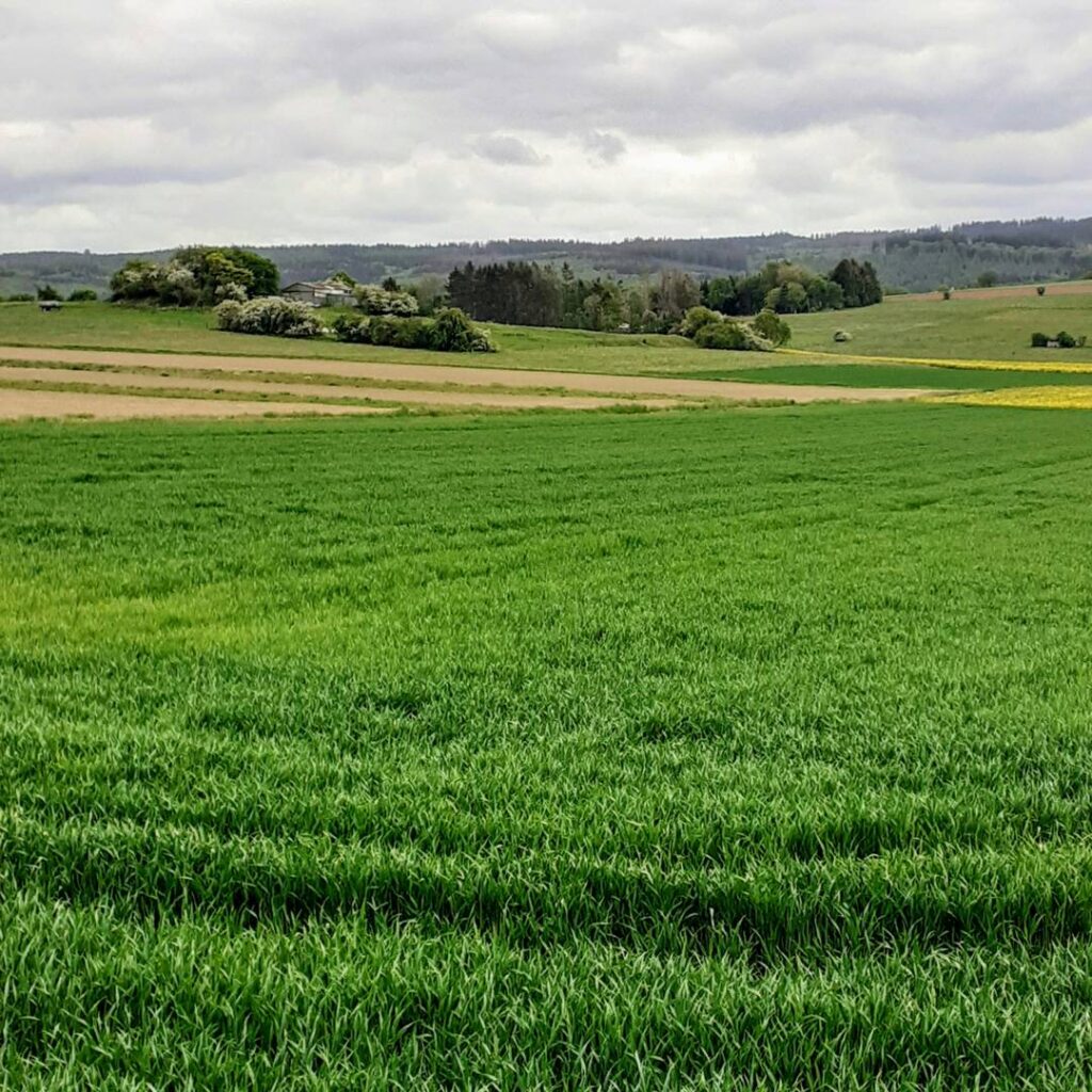 Sustainable Agriculture and Its Implementation Gap—Overcoming Obstacles to Implementation