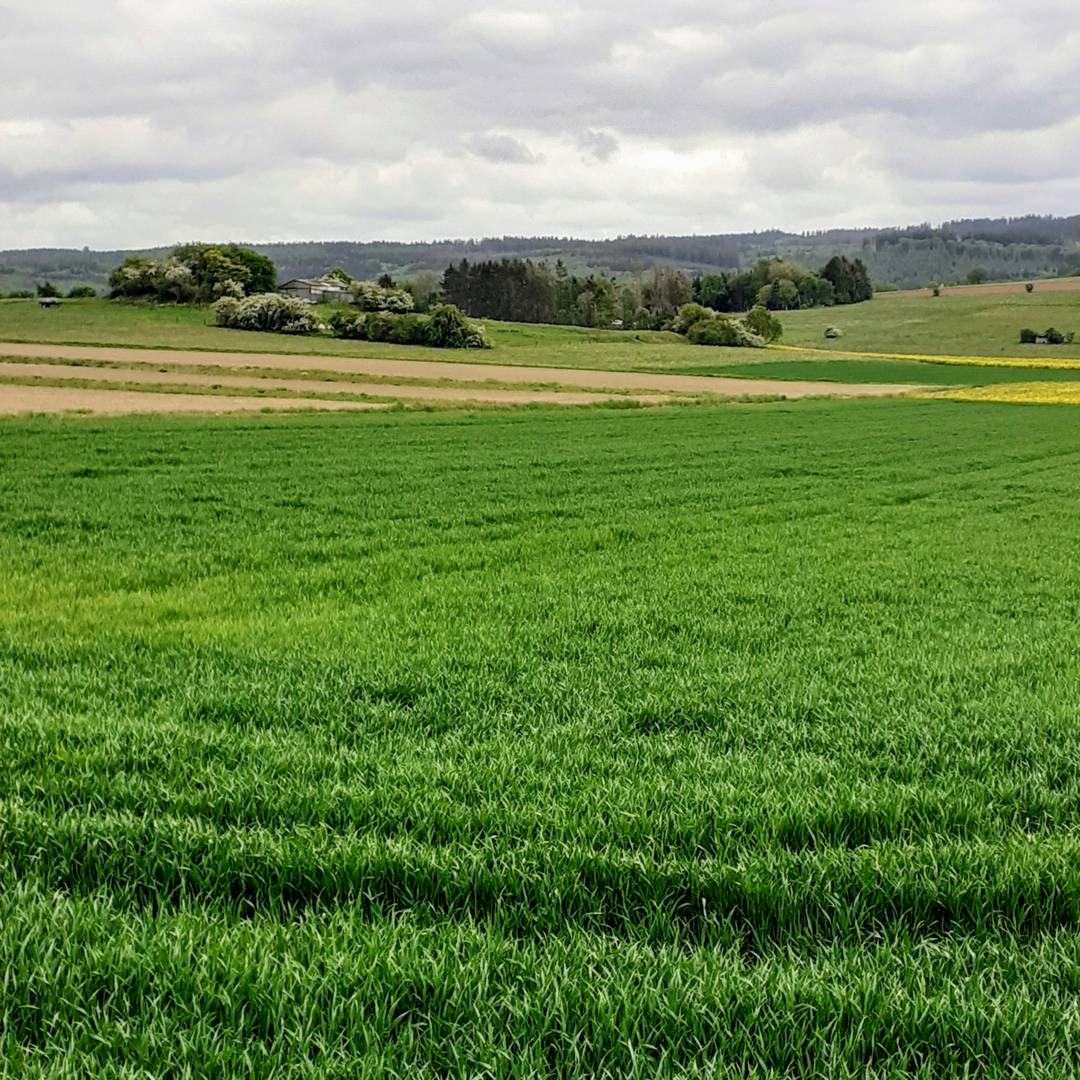 Sustainable Agriculture and Its Implementation Gap—Overcoming Obstacles to Implementation