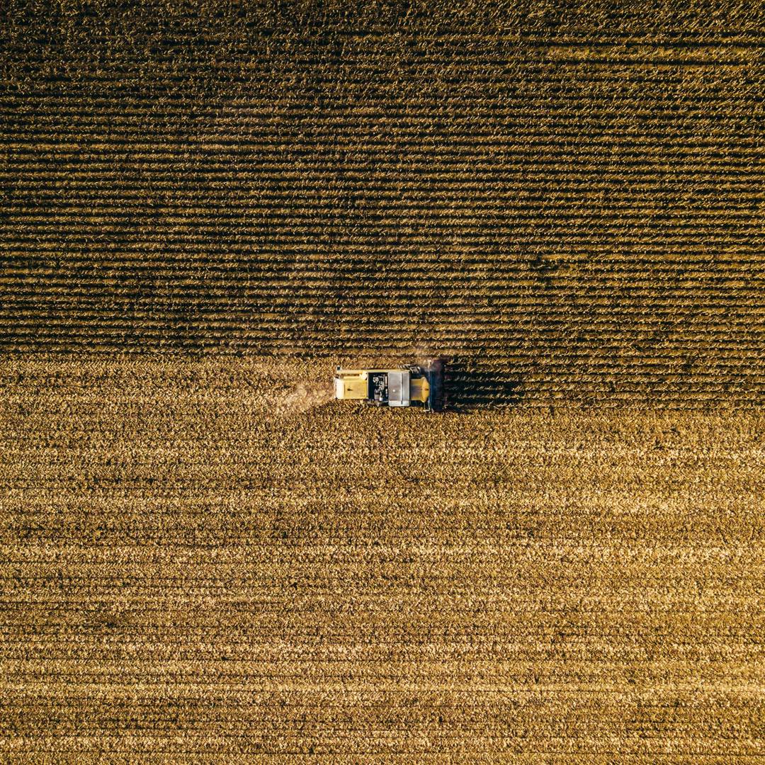 In Search of a Financial Model for a Sustainable Economy