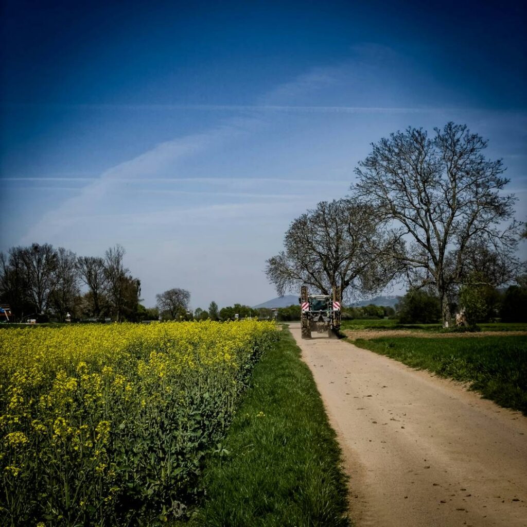 Cellular Agriculture: Opportunities and Challenges
