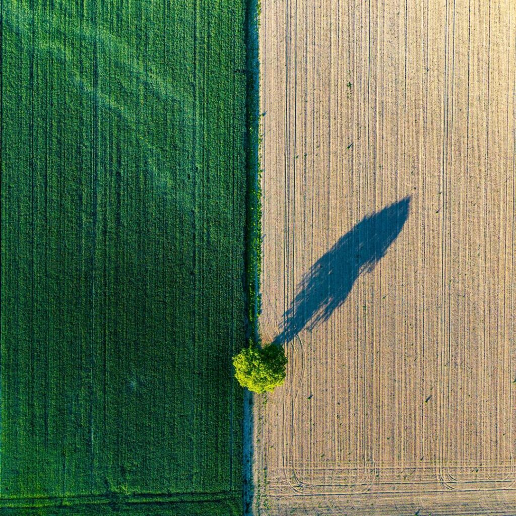 The soil crisis: The need to treat as a global health problem and the pivotal role of microbes in prophylaxis and therapy