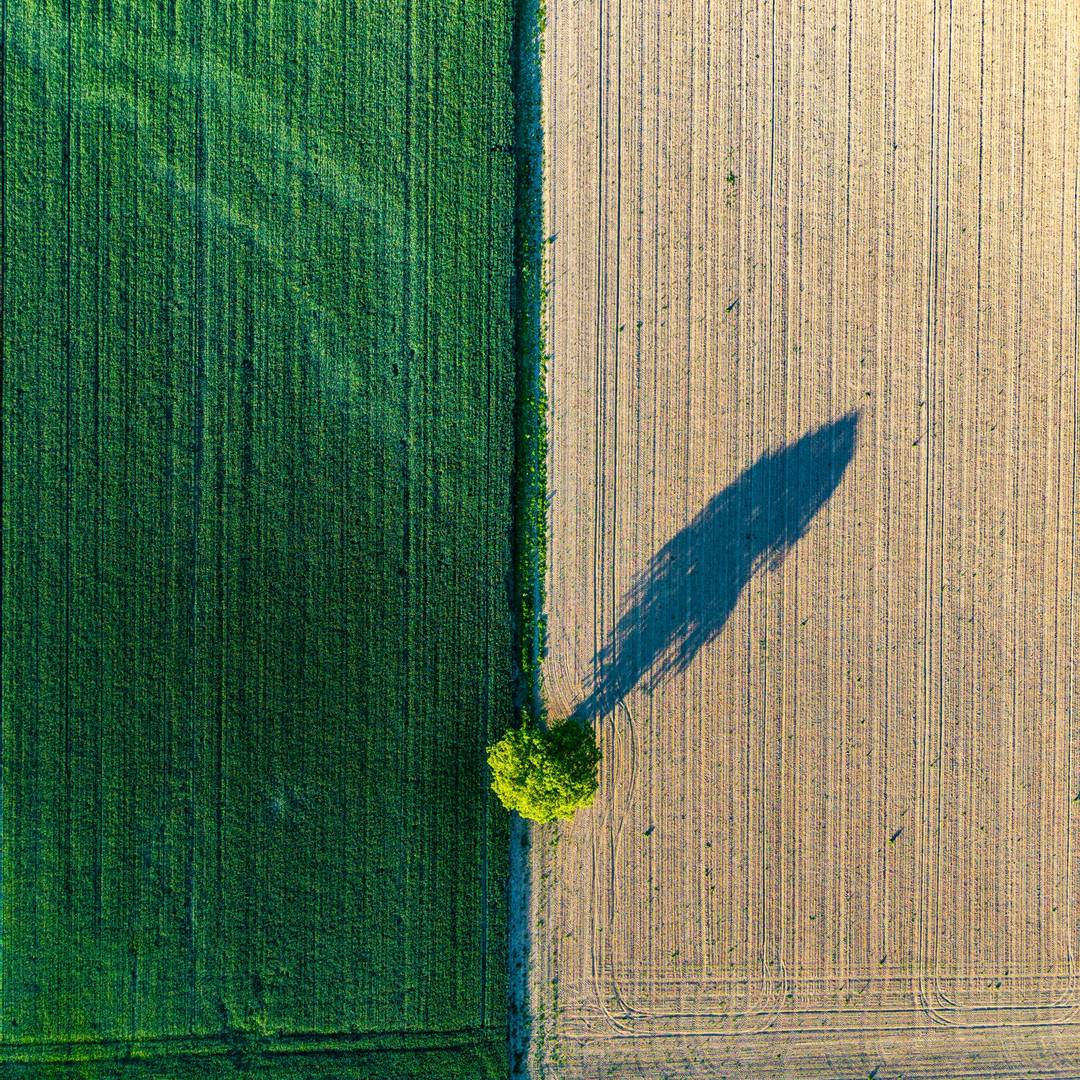 The soil crisis: The need to treat as a global health problem and the pivotal role of microbes in prophylaxis and therapy