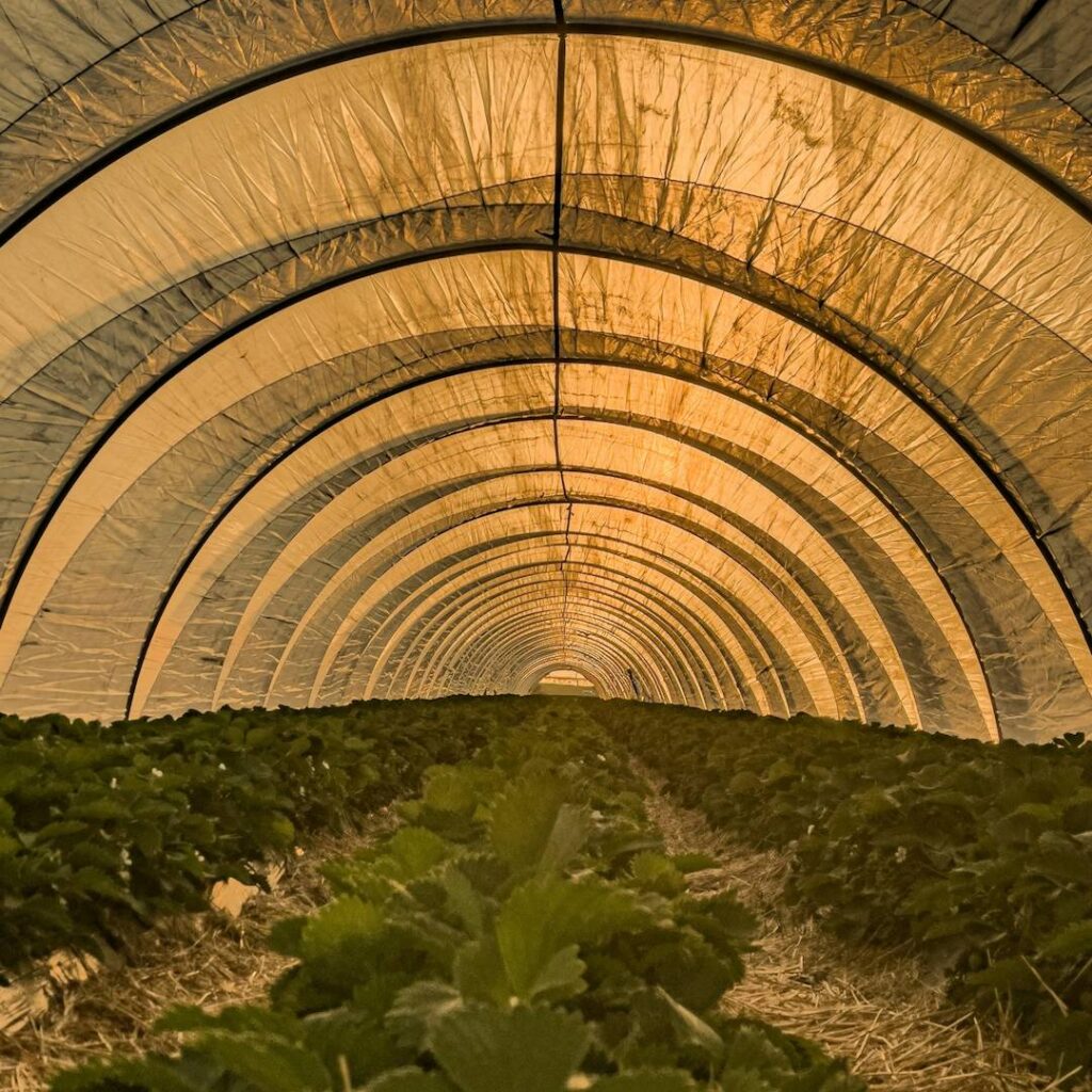 Farmers intention to adopt sustainable agriculture hinges on climate awareness: The case of Vietnamese coffee