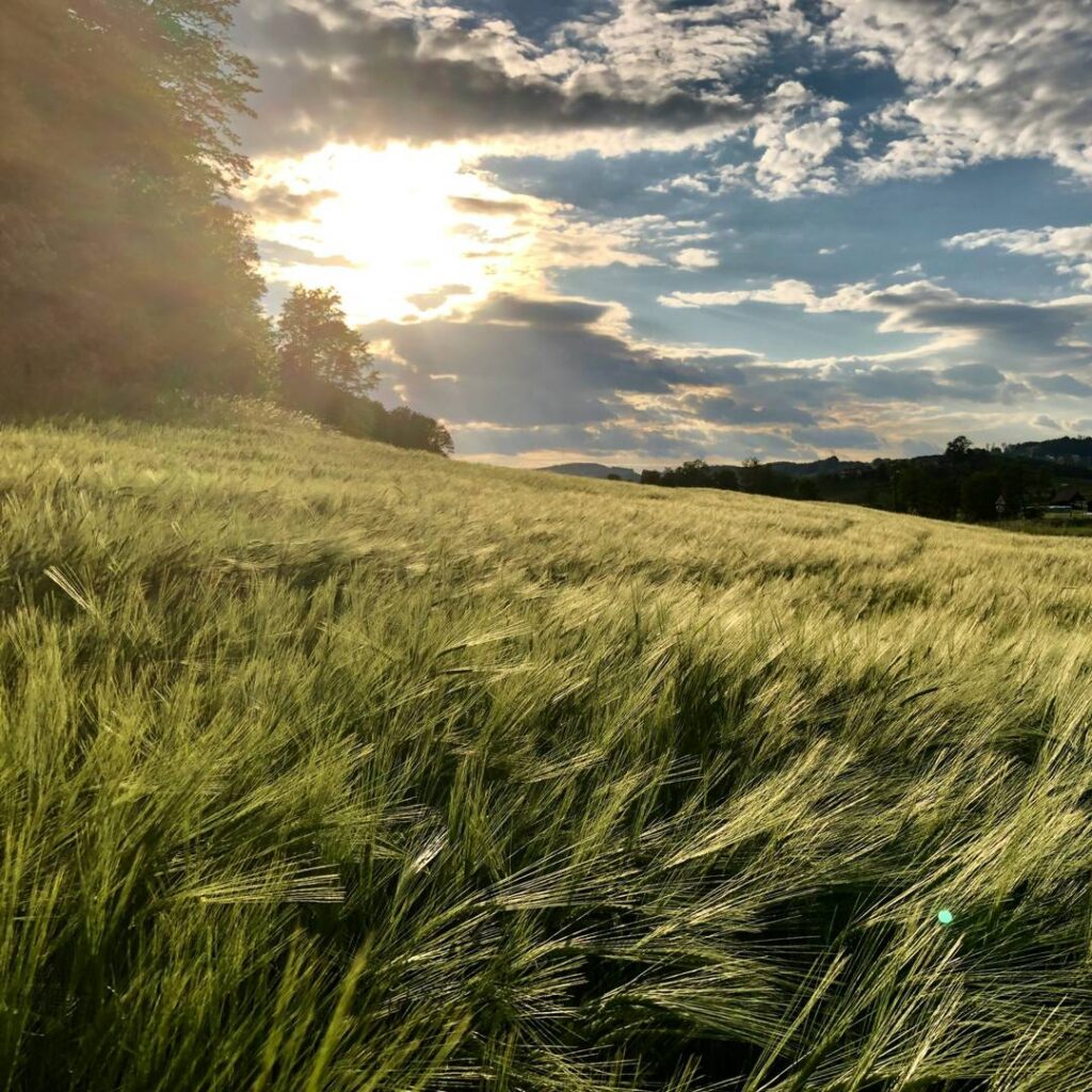 The Key to Sustainable Economic Development: A Triple Bottom Line Approach