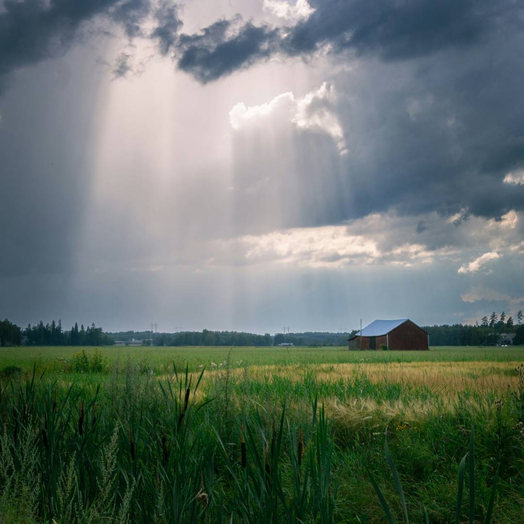 Enhancing climate change resilience in agricultural crops