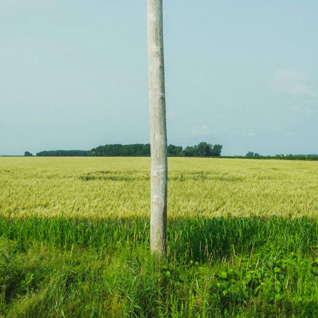 The role of renewable energy and natural resources for sustainable agriculture in ASEAN countries: Do carbon emissions and deforestation affect agriculture productivity?