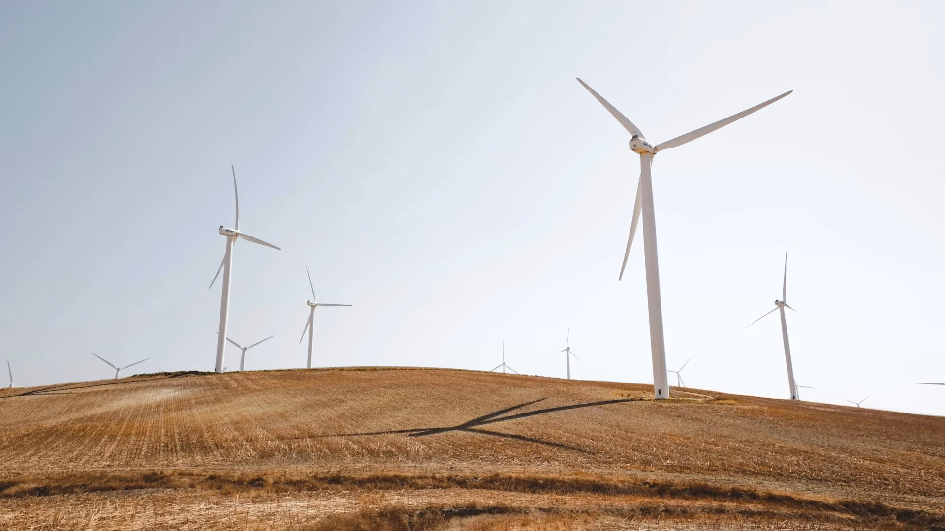 The role of renewable energy and natural resources for sustainable agriculture in ASEAN countries: Do carbon emissions and deforestation affect agriculture productivity?
