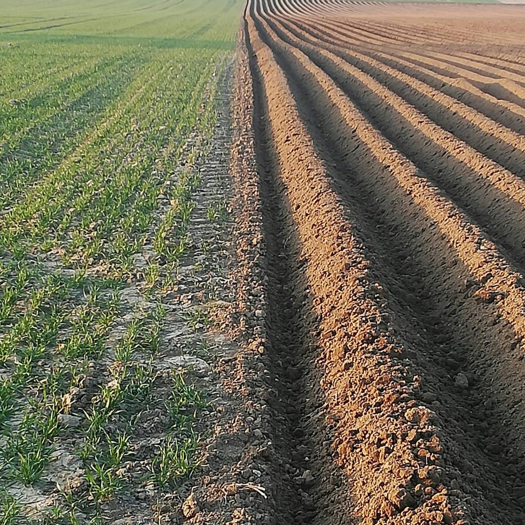 Nanotechnology Potential in Seed Priming for Sustainable Agriculture. Nanomaterials