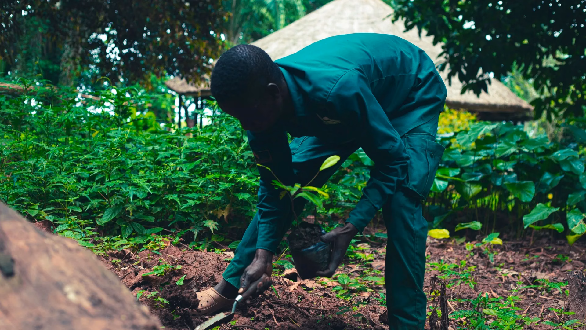 Role of New Plant Breeding Technologies for Food Security and Sustainable Agricultural Development