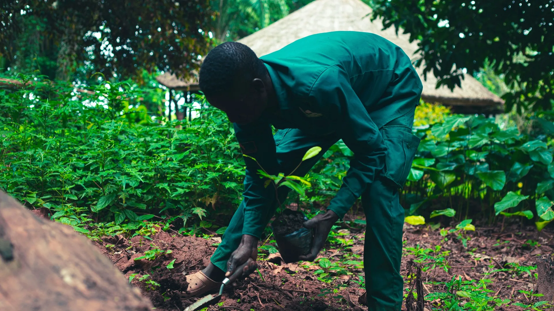 Production of Sustainable Construction Materials Using Agro-Wastes
