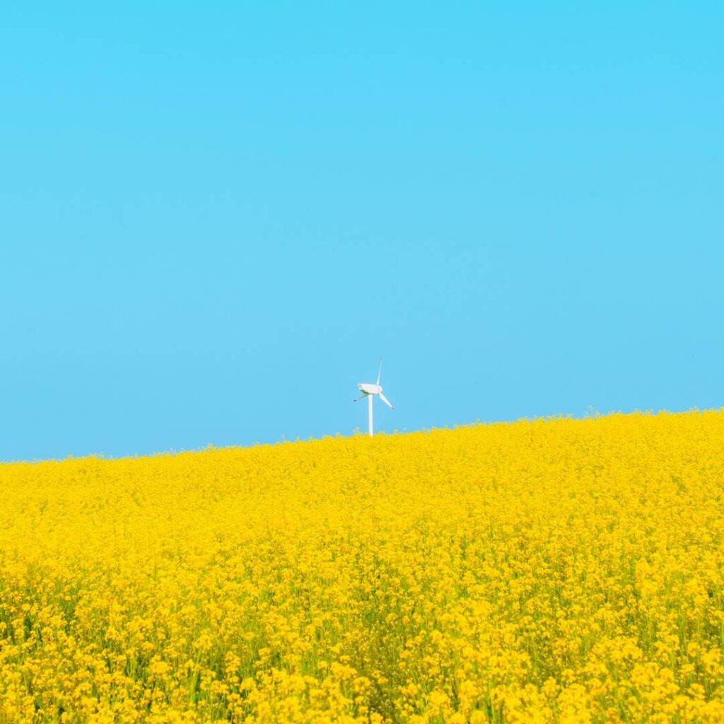 Is Europe on the Way to Sustainable Development? Compatibility of Green Environment, Economic Growth, and Circular Economy Issues