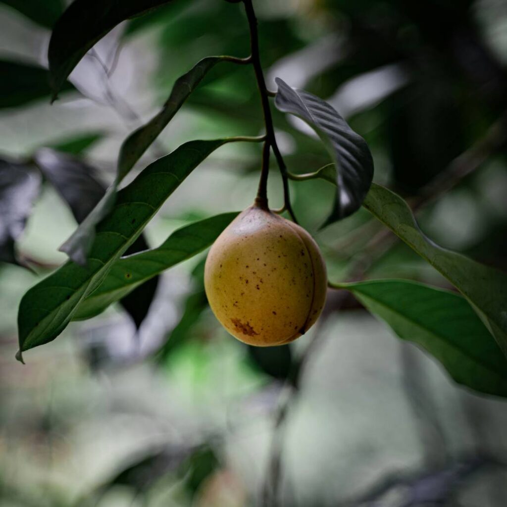 Unlocking plant resources to support food security and promote sustainable agriculture