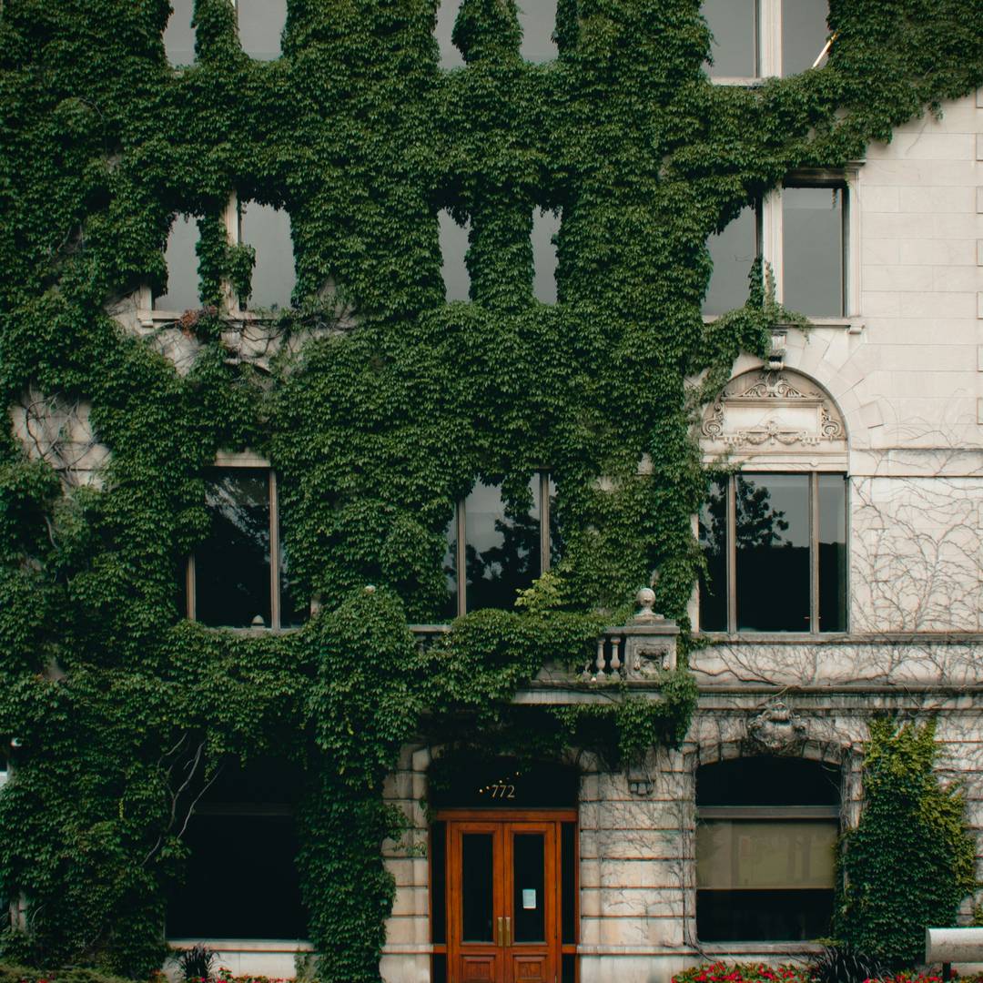 Green Finance Gap in Green Buildings: A Scoping Review and Future Research Needs
